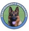 BLOG 2 llogoadiestramientomalaga