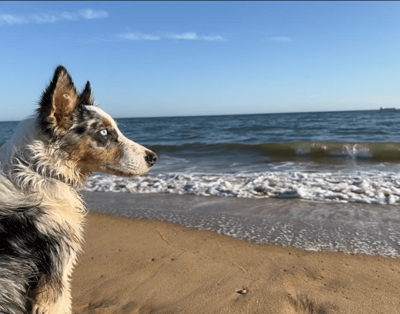 BLOG 6 Dante